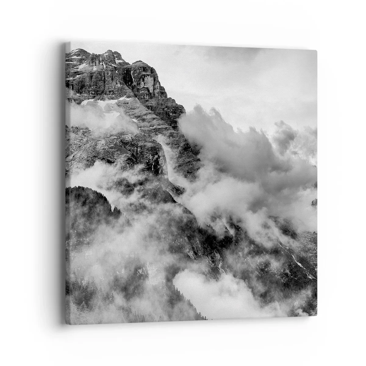 Canvas picture - Beautiful and Cruel - 40x40 cm