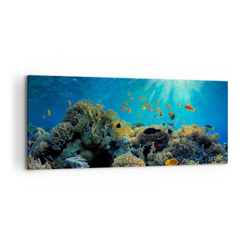 Canvas picture - Underwater Treasures - 120x50 cm