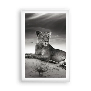 Poster in white frmae - Queen of Desert Is Resting - 61x91 cm