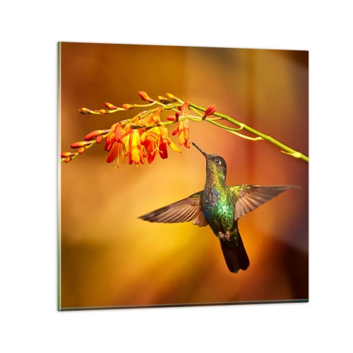 Glass picture - Messenger of Light according to the Mayans - 40x40 cm
