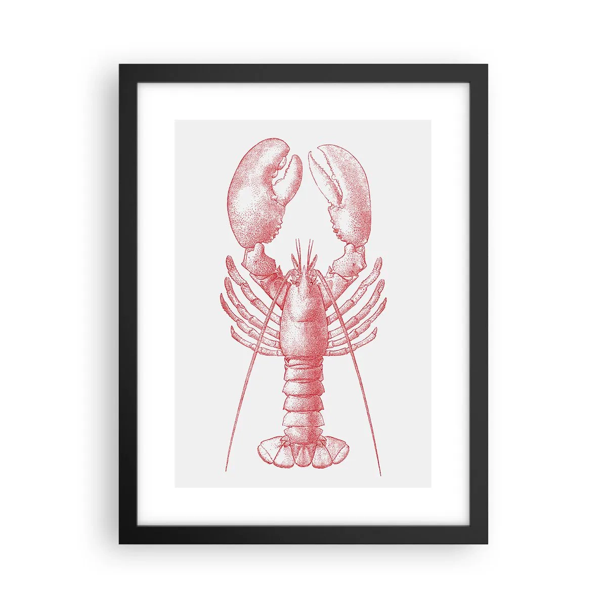 Poster in black frame - Lobster Worthy of a Lobster - 30x40 cm