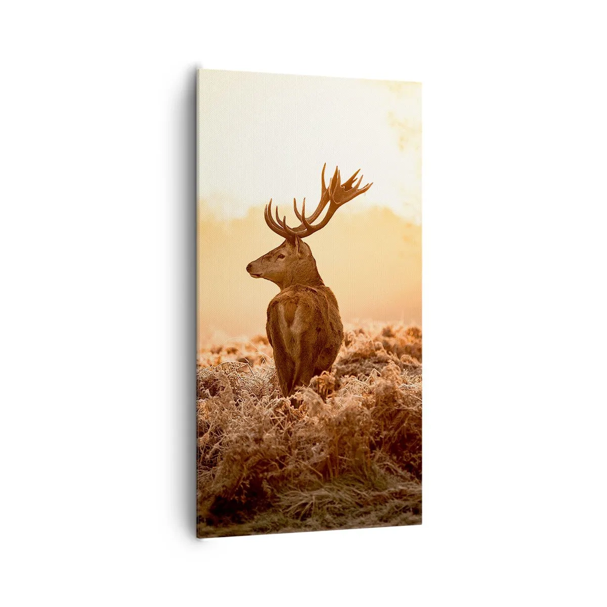 Canvas picture - Master of the Moor - 65x120 cm