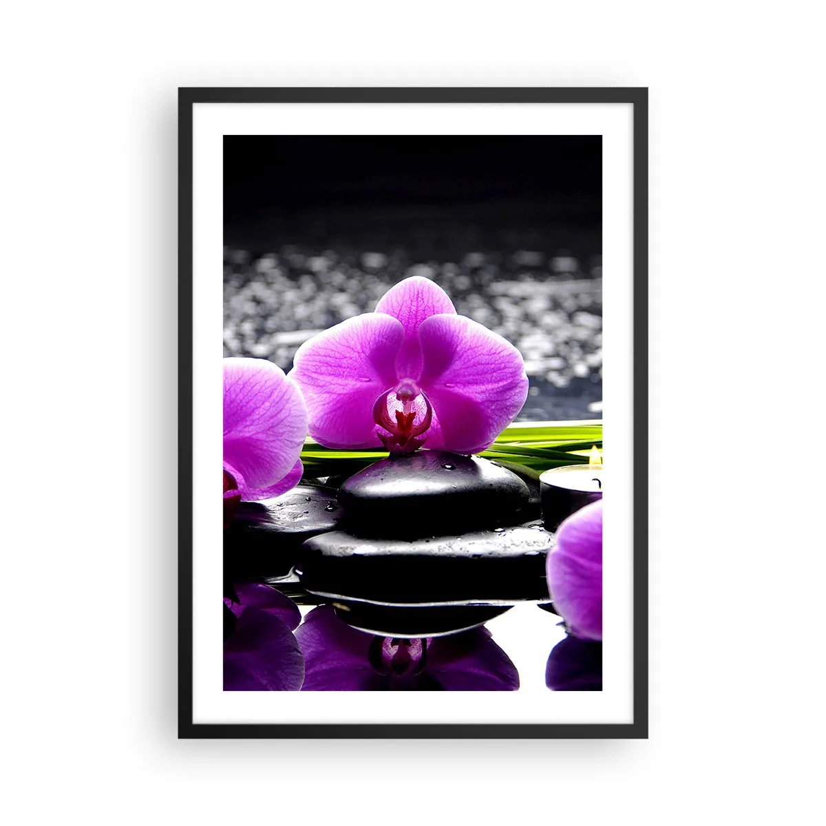 Poster in black frame - A purple orchid against a background of stones and water in a spa-like setting - 50x70cm - Drowning in Peace and Quiet - Modern wall decoration for the living room and bedroom ARTTOR