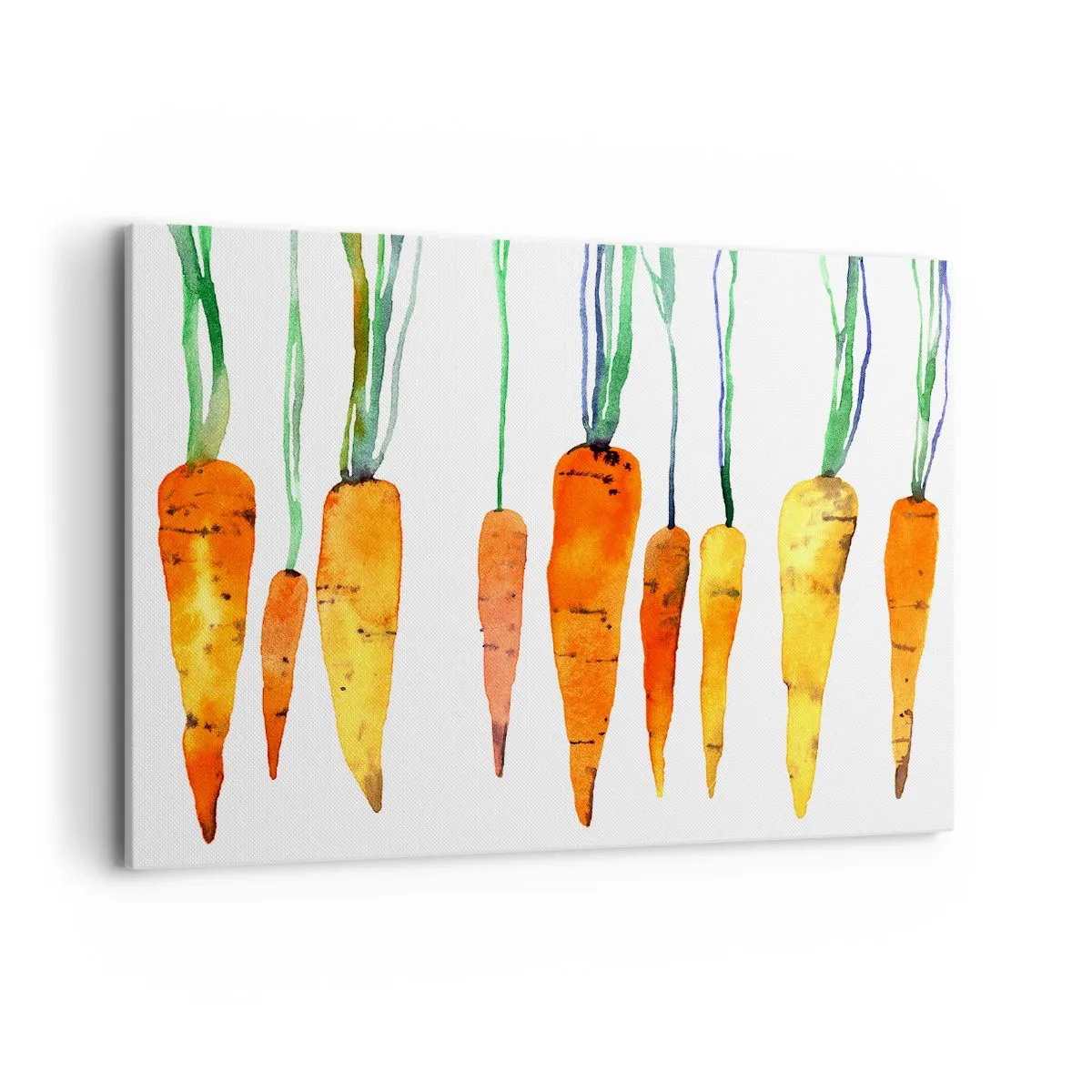 Canvas picture - Beauty of Common Carrot - 100x70 cm