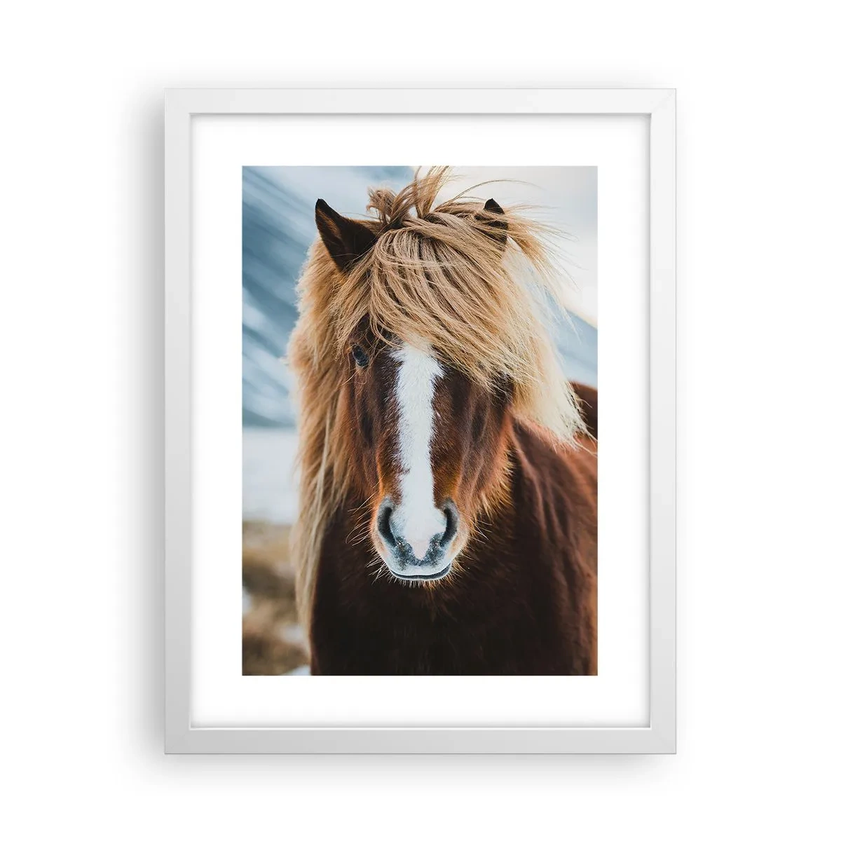 Poster in white frmae - Can You Feel the Freedom? - 30x40 cm