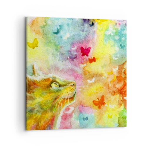 Canvas picture - Cat's Dream - 50x50 cm