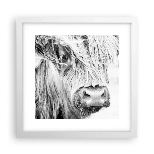 Poster in white frmae - Scottish Wilderness - 30x30 cm