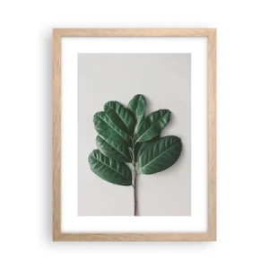 Poster in light oak frame - Drawing of Nature Itself - 30x40 cm