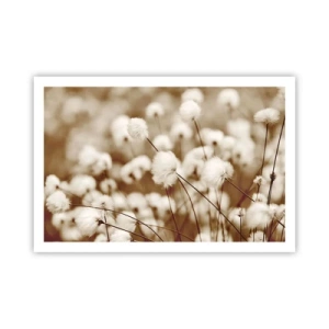 Poster - Fluffy field - 91x61 cm