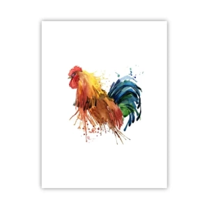 Poster - King Rooster - 30x40 cm