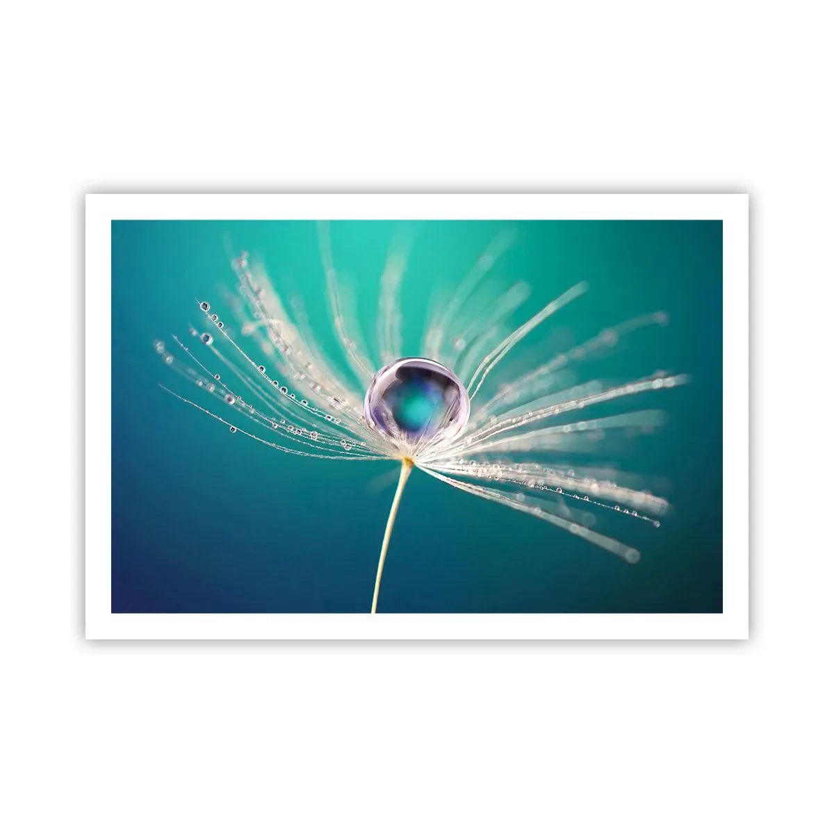 Poster - Mystical Moment - 91x61 cm
