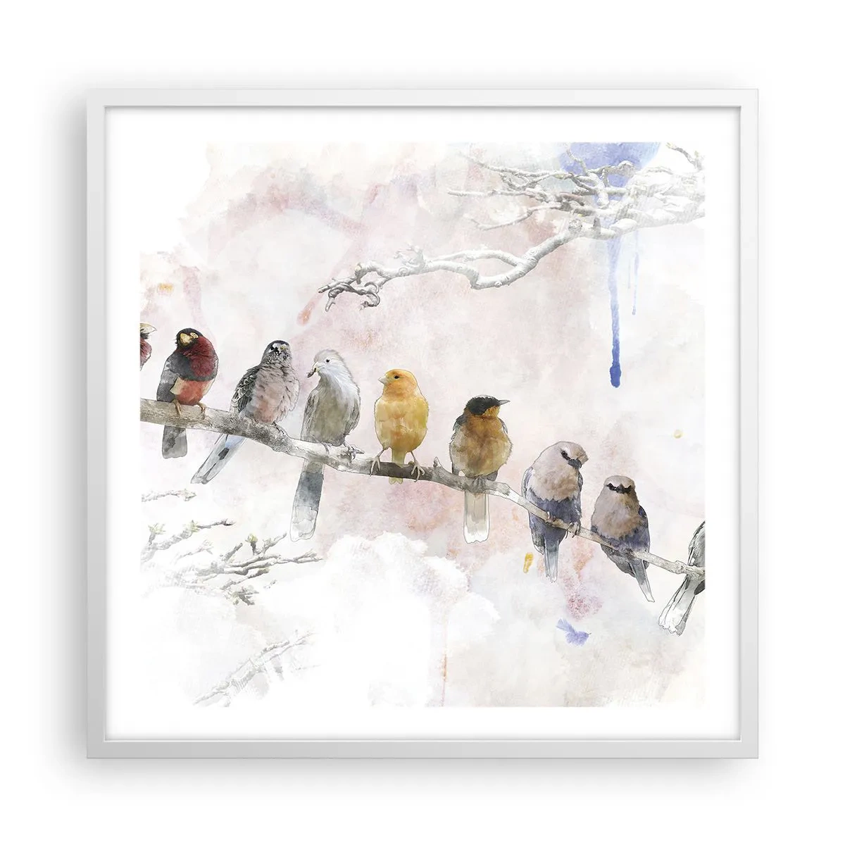Poster in white frmae - Winged Encounter - 60x60 cm