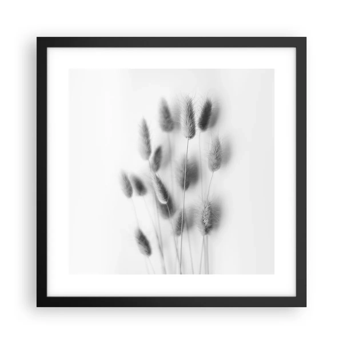 Poster in black frame - Her Softness Grass - 40x40 cm