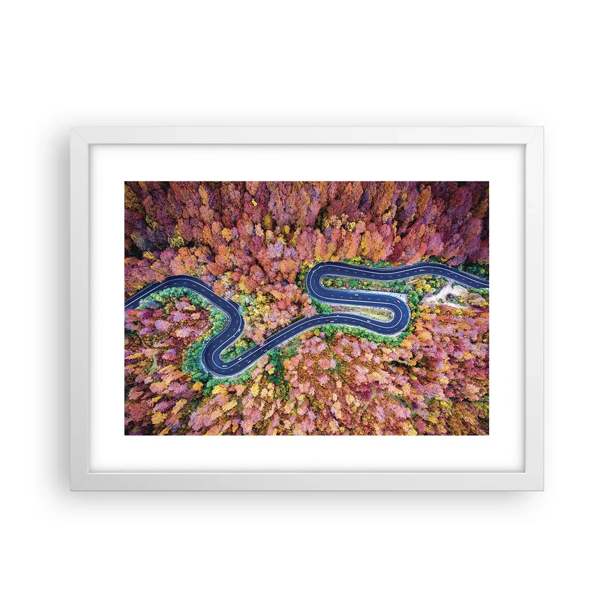 Poster in white frmae - Winding Path through a Forest - 40x30 cm