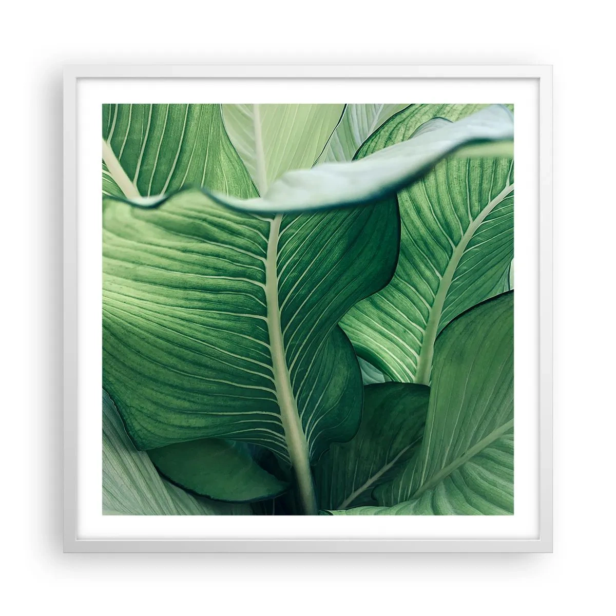 Poster in white frmae - Life in Intense Green Colour - 60x60 cm