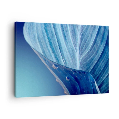 Canvas picture - A blue leaf with visible water drops - 70x50cm - Hidden Drops of Blue - Modern wall decoration for the living room and bedroom ARTTOR
