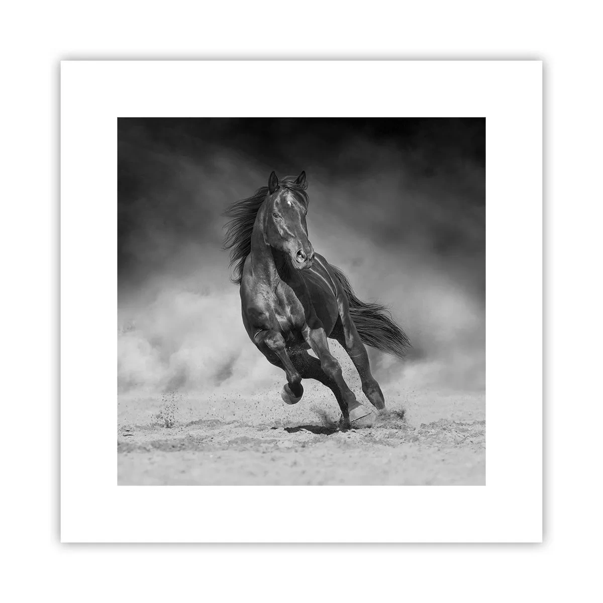 Poster - Worthy of Emir Himself - 30x30 cm