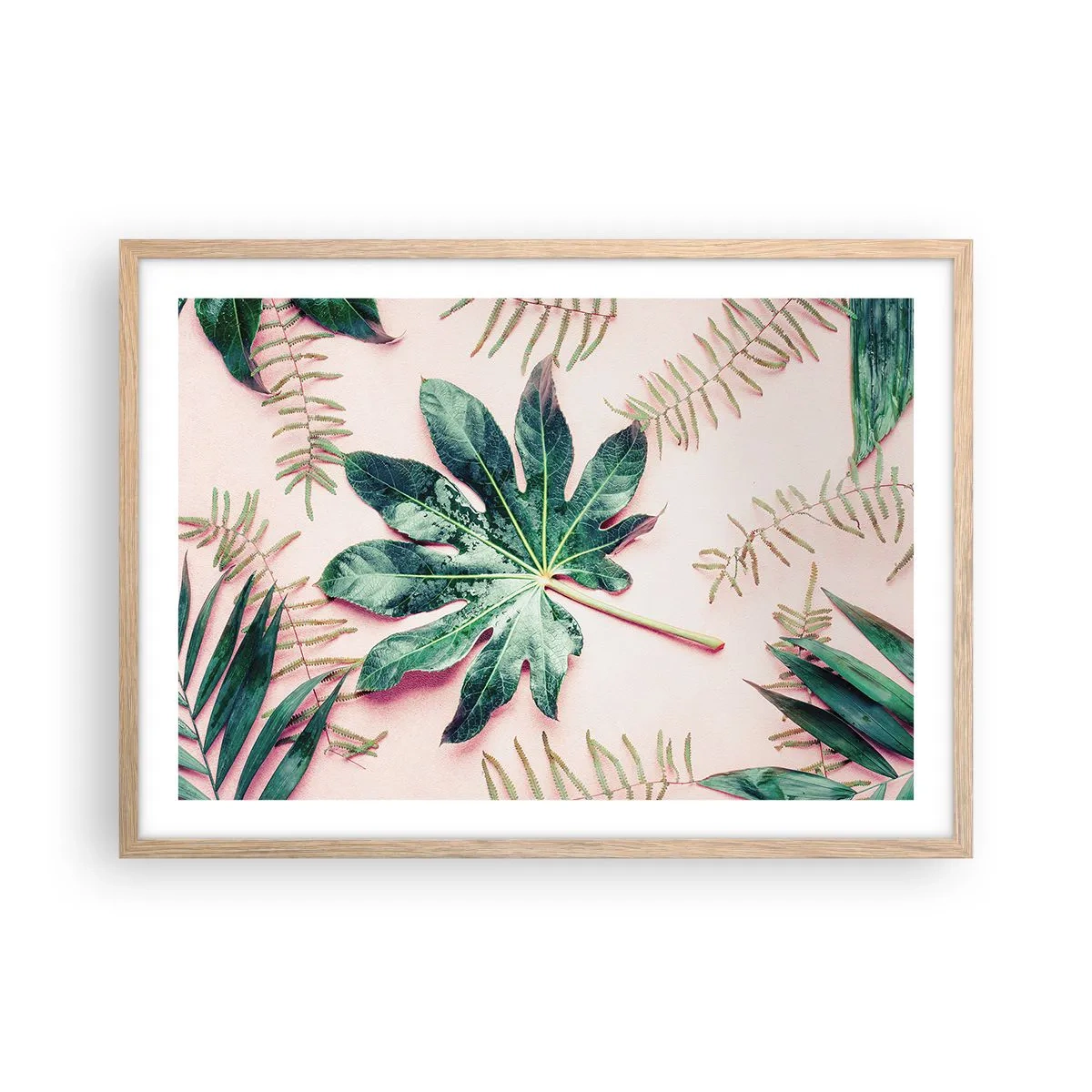 Poster in light oak frame - Study in Green on Pink Background - 70x50 cm