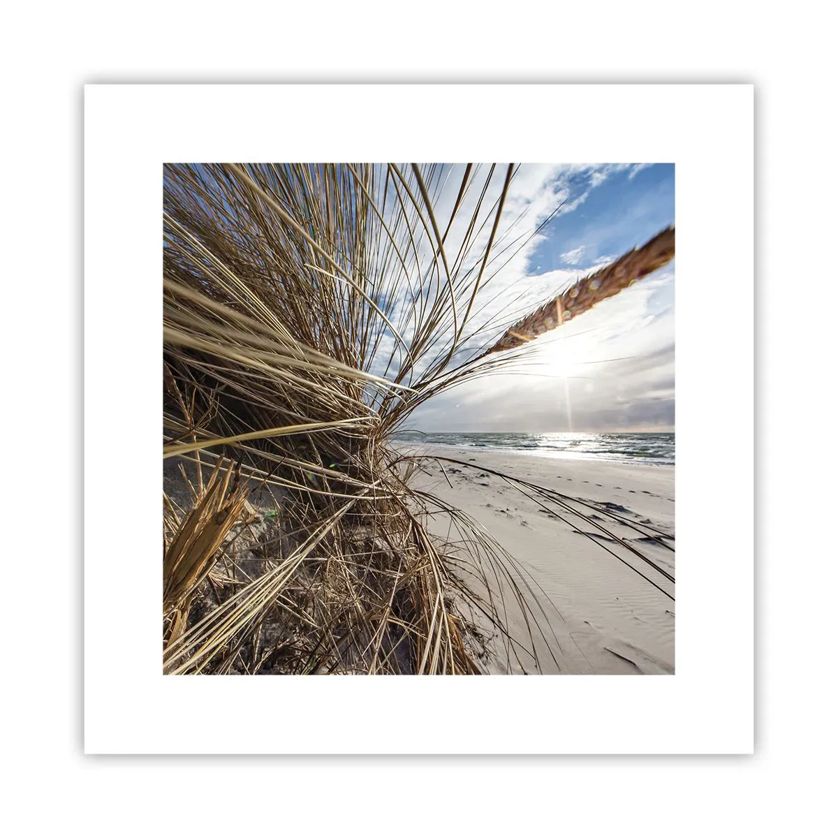 Poster - Enounter of the Elements - 30x30 cm