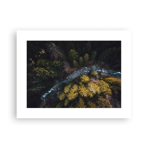 Poster - Fast and Faster - 40x30 cm