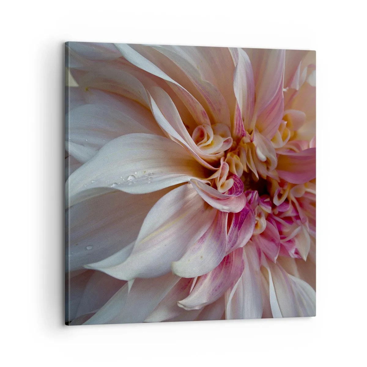 Canvas picture - Blooming Freshness - 60x60 cm
