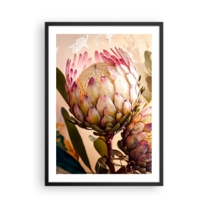 Poster in black frame - Close-up of a protea flower in warm colors - 50x70cm - Tender Caress - Modern wall decoration for the living room and bedroom ARTTOR