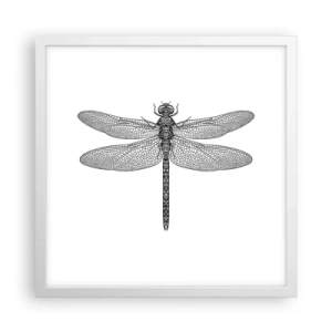 Poster in white frmae - Precision of Nature - 40x40 cm
