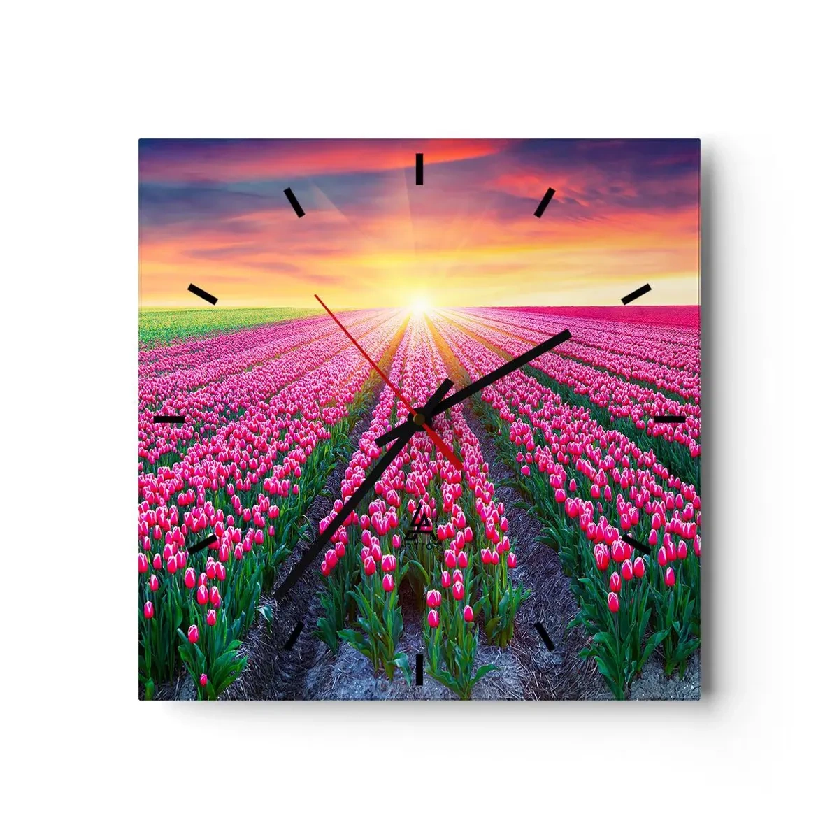 Wall clock - Clock on glass - Beauty Farm - 30x30 cm