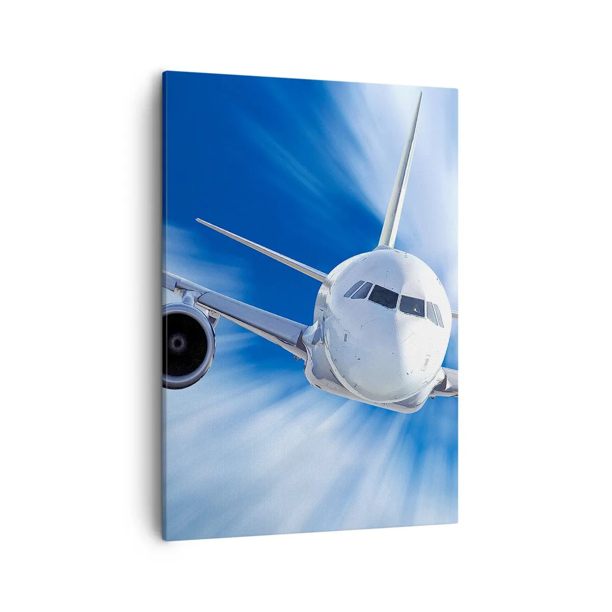 Canvas picture - Faster than the Wind in the Sky - 50x70 cm