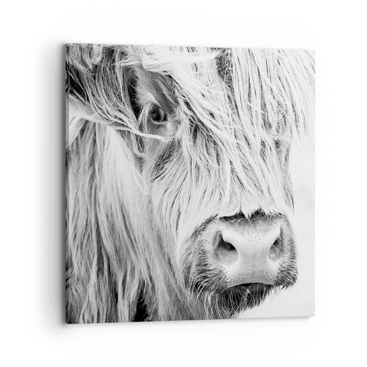 Canvas picture - Scottish Wilderness - 70x70 cm
