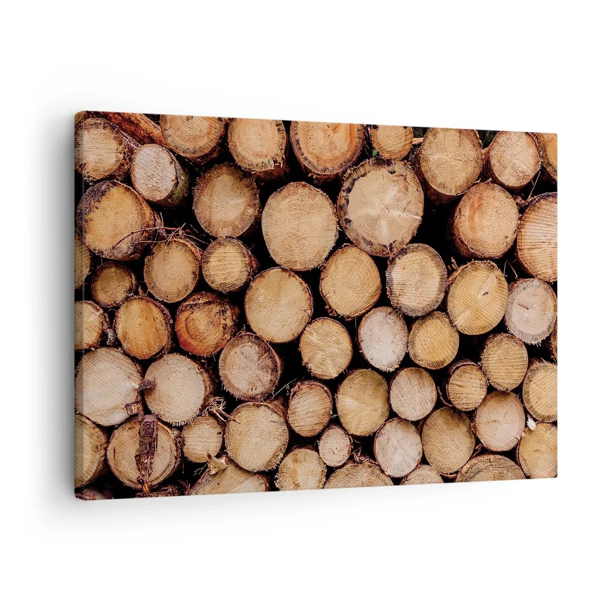 Canvas picture - Piles of felled tree trunks arranged in harmony - 70x50cm - New Beginning - Modern wall decoration for the living room and bedroom ARTTOR