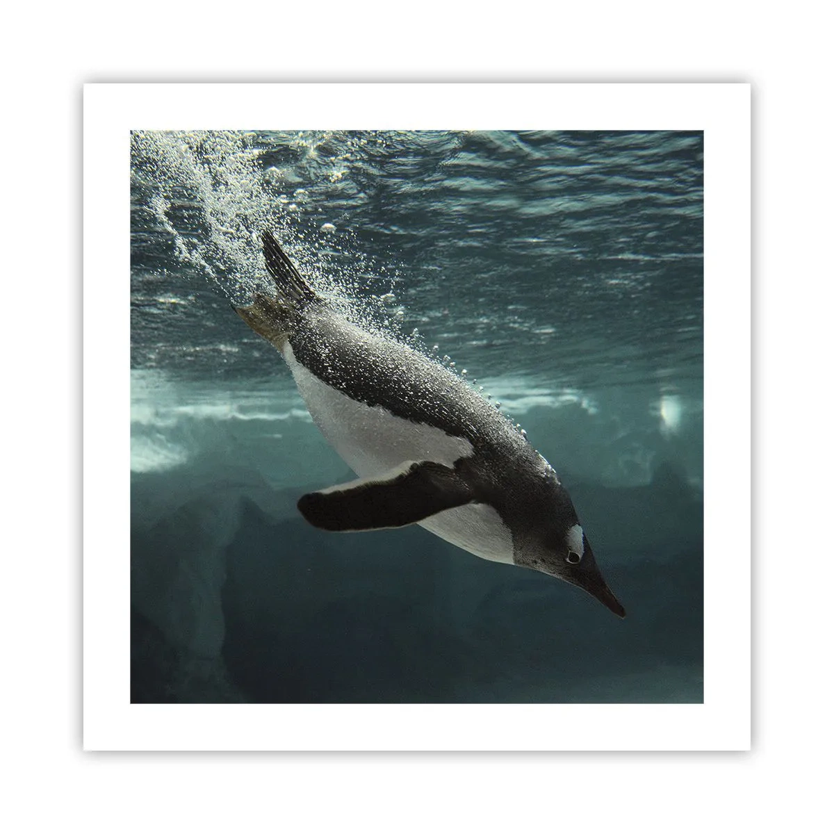 Poster - Welcome to My World - 50x50 cm