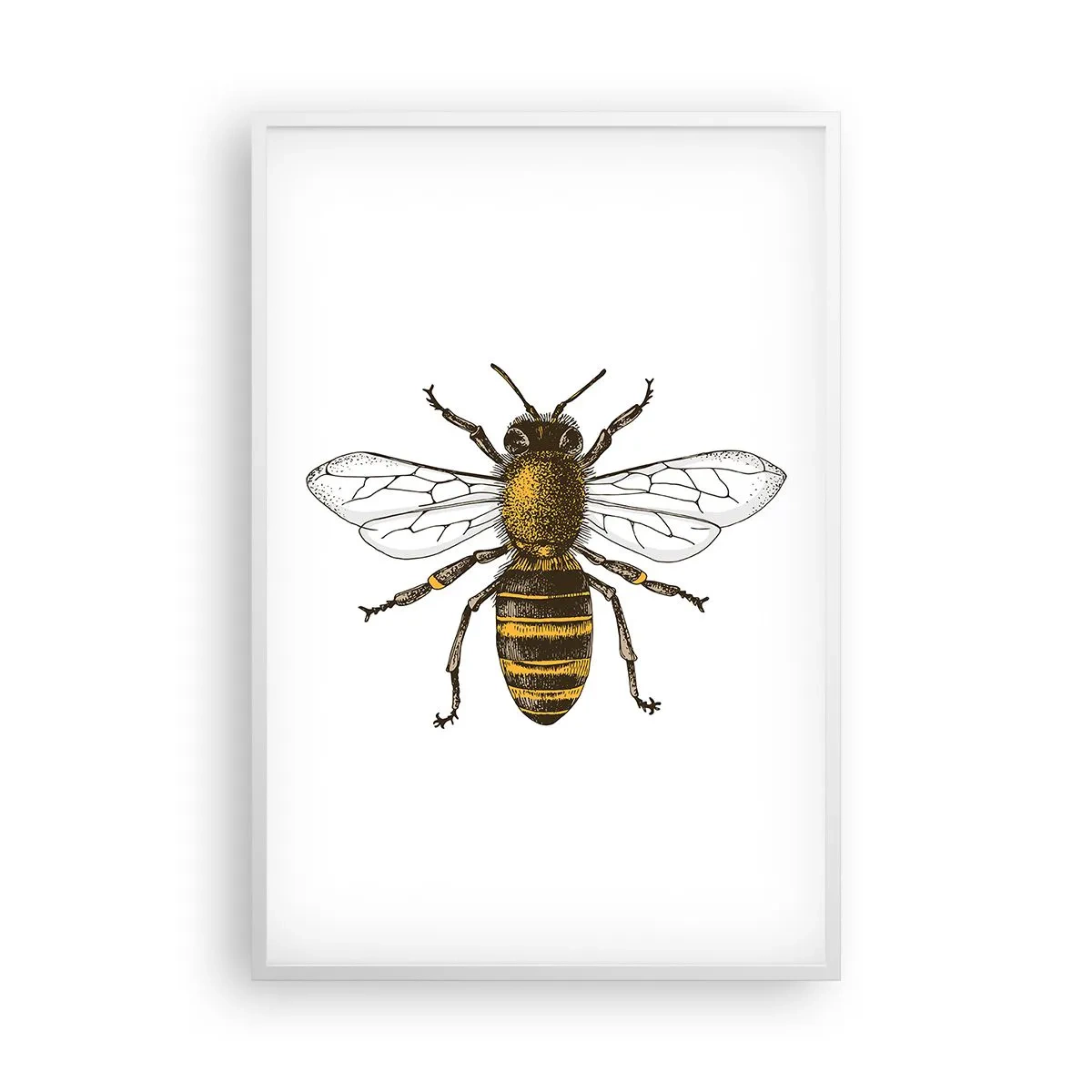 Poster in white frmae - Beautiful and Good - 61x91 cm