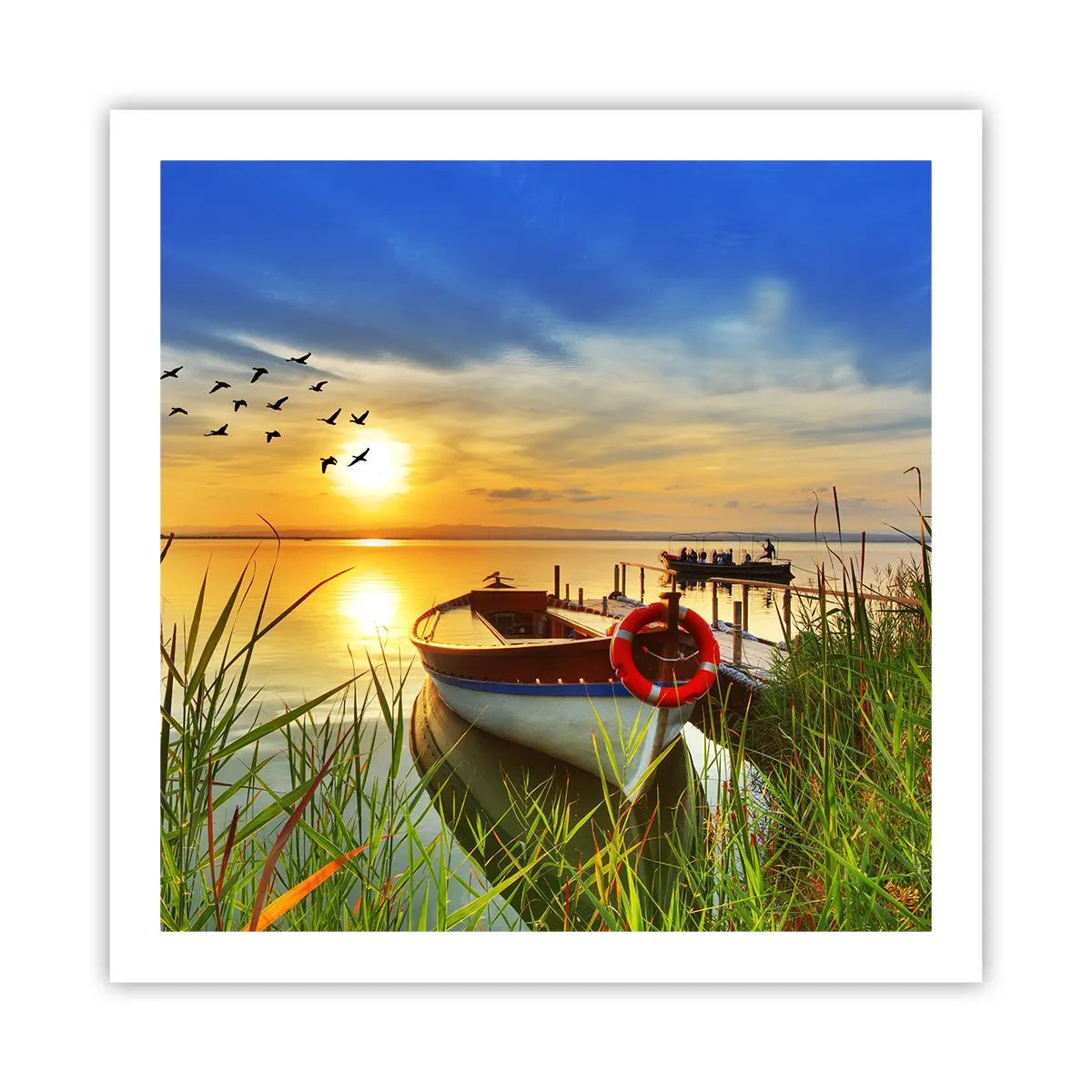 Poster - Cormorants Are Flying Away - 60x60 cm