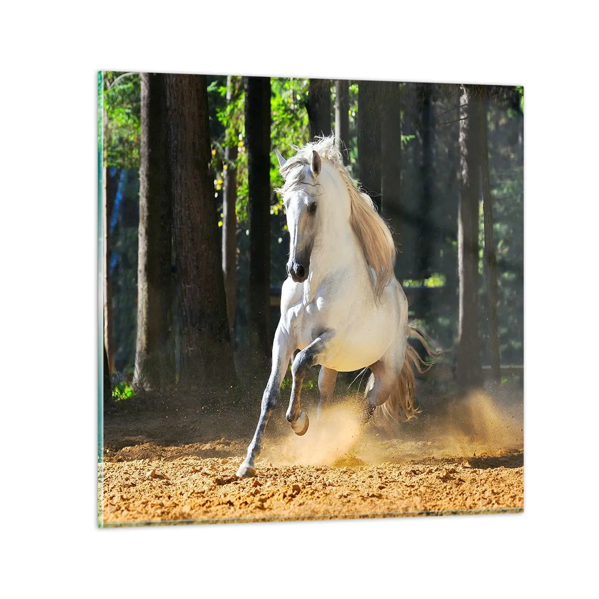 Glass picture - Straight from a Fantasy Book - 70x70 cm