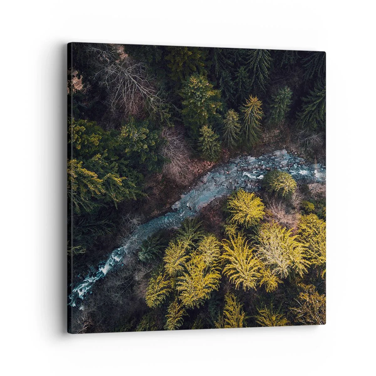 Canvas picture - Fast and Faster - 40x40 cm