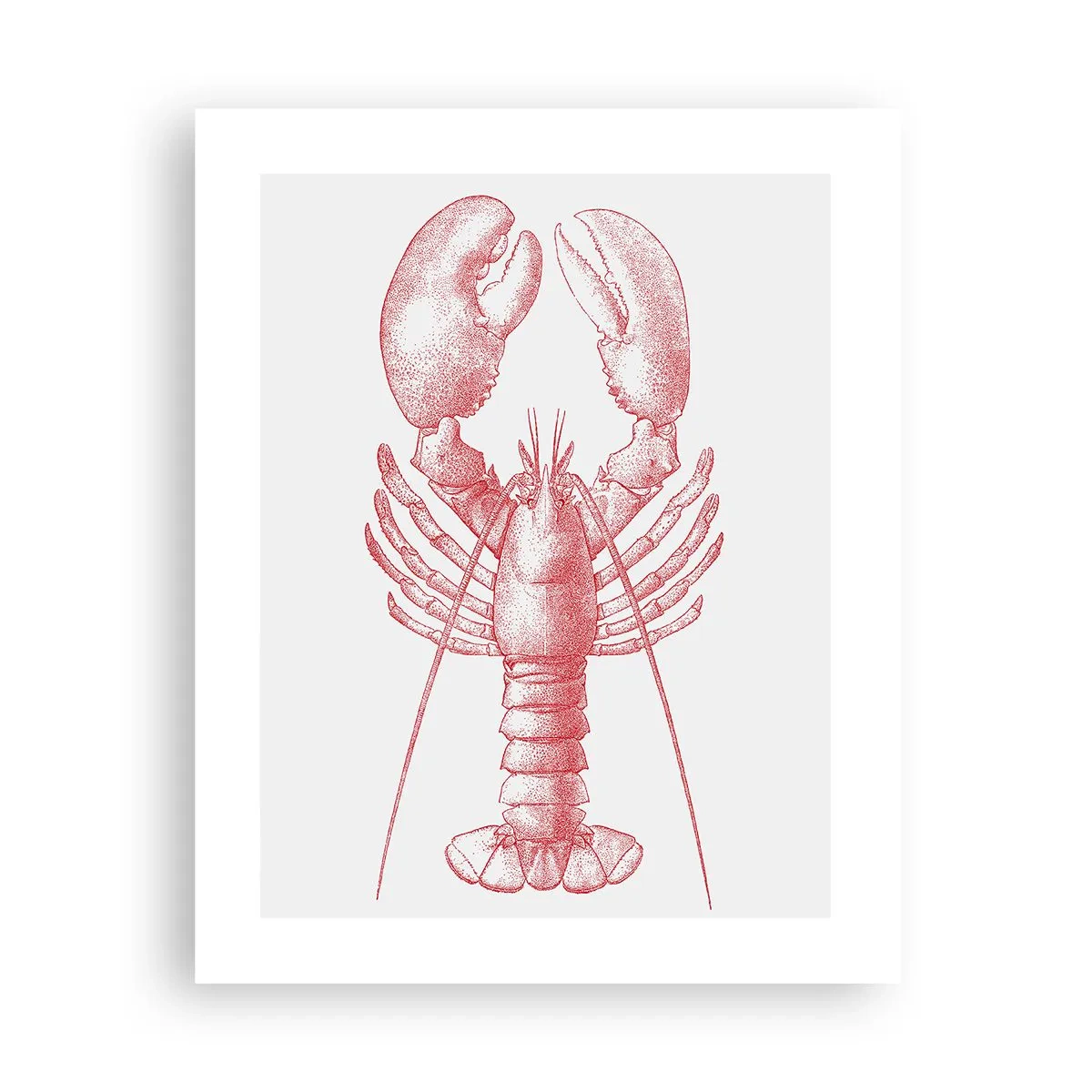 Poster - Lobster Worthy of a Lobster - 40x50 cm