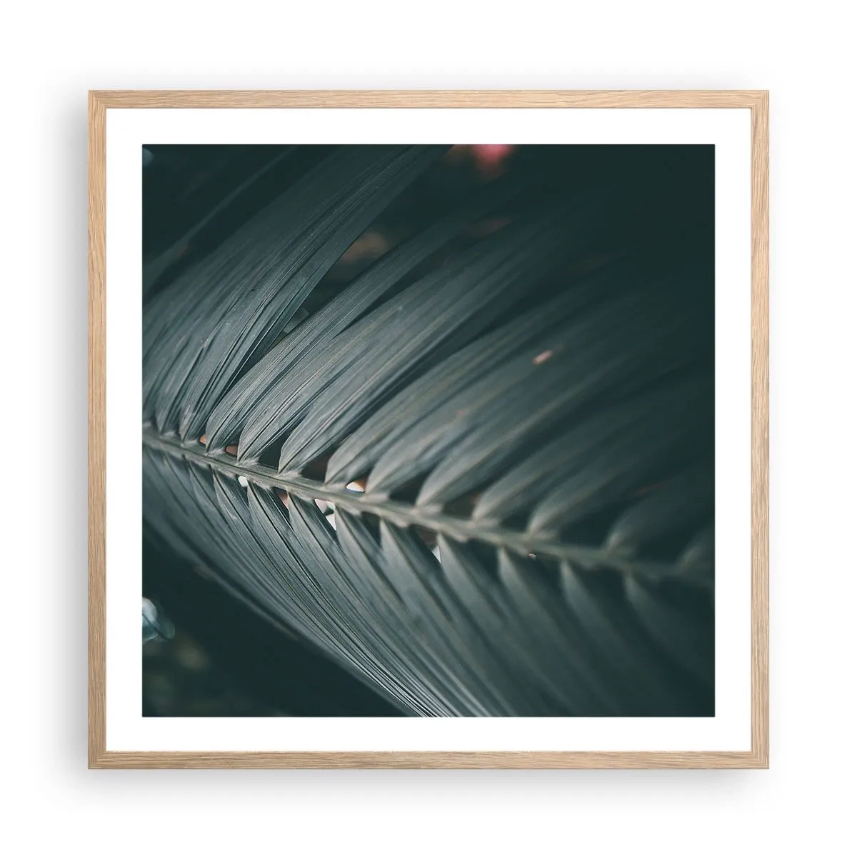 Poster in light oak frame - Precision of Nature - 60x60 cm