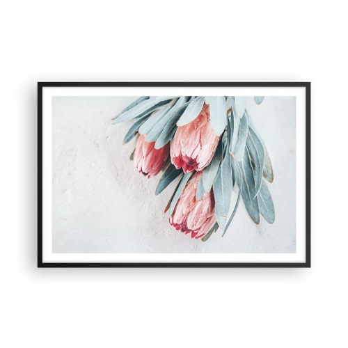 Poster in black frame - Ashamed of Their Own Beauty - 91x61 cm