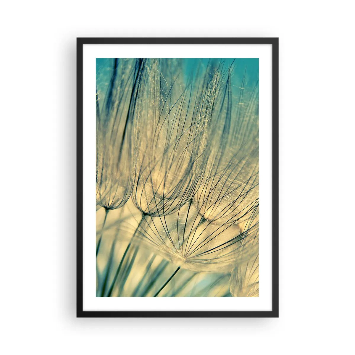 Poster in black frame - Macro photography of delicate dandelions in the light of the setting sun - 50x70cm - Waiting for the Wind - Modern wall decoration for the living room and bedroom ARTTOR