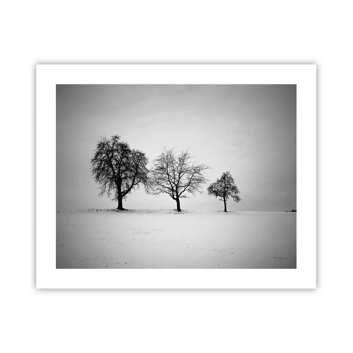 Poster - What Are They Dreaming About? - 50x40 cm