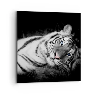 Canvas picture - Wilderness and Calm - 70x70 cm