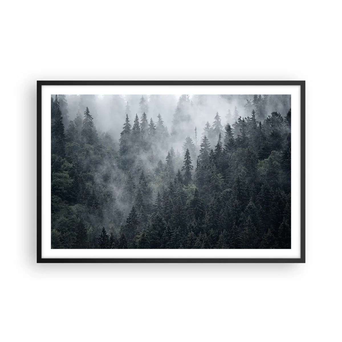 Poster in black frame - Forest World - 91x61 cm