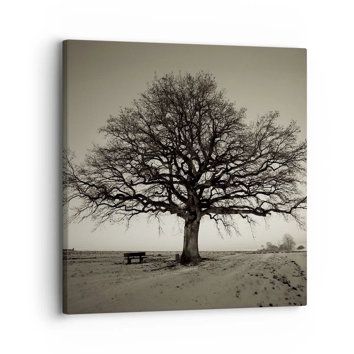 Canvas picture - From Here to Eternity - 30x30 cm