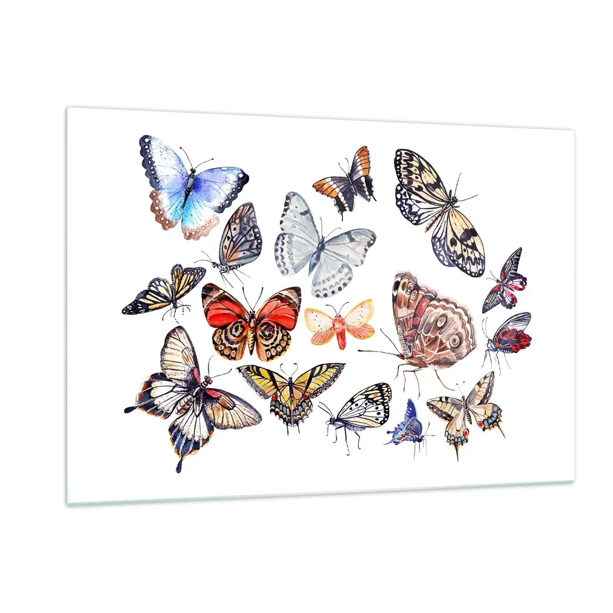 Glass picture - Colourful Swarm - 120x80 cm