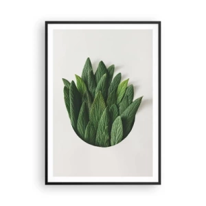 Poster in black frame - Untamed Curiosity - 70x100 cm