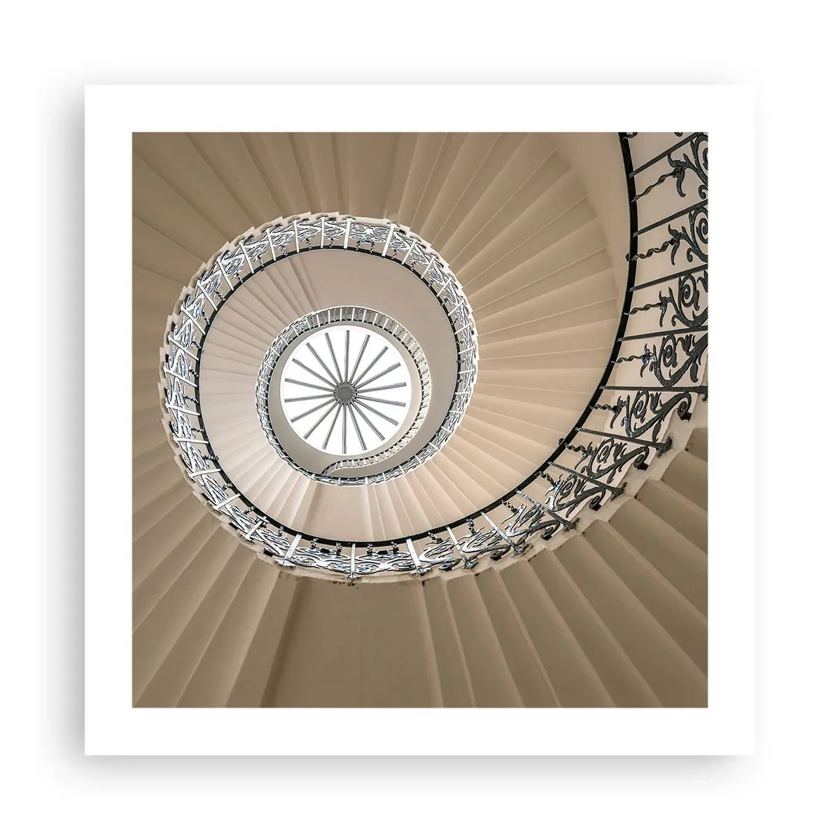 Poster - Inside the Shell - 50x50 cm