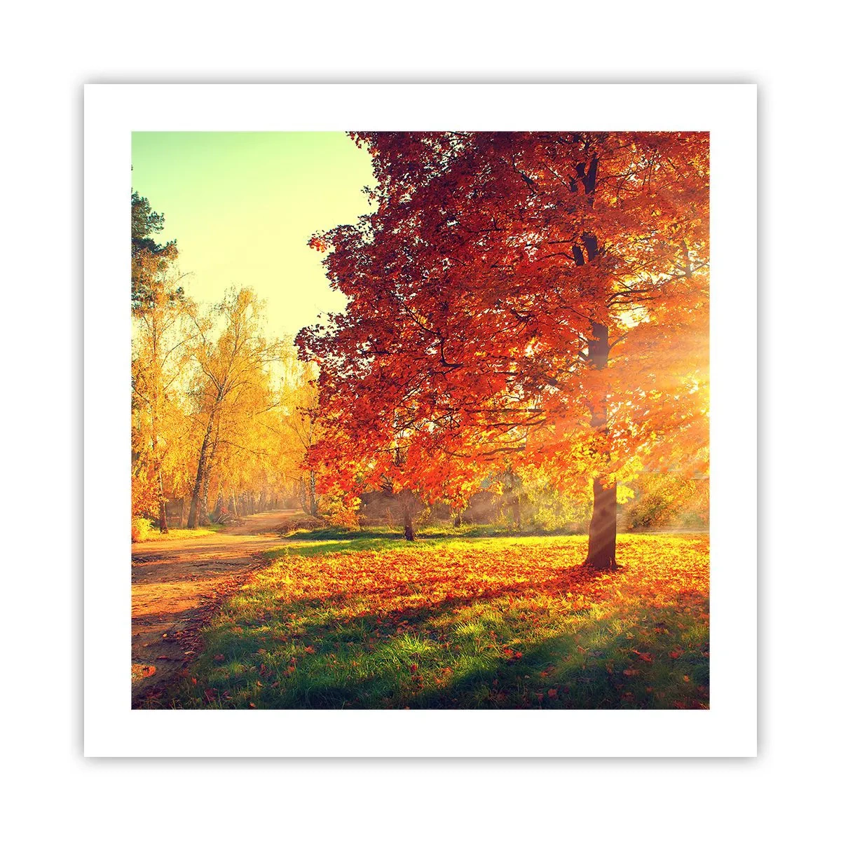 Poster - Ginger Is Beautiful - 50x50 cm
