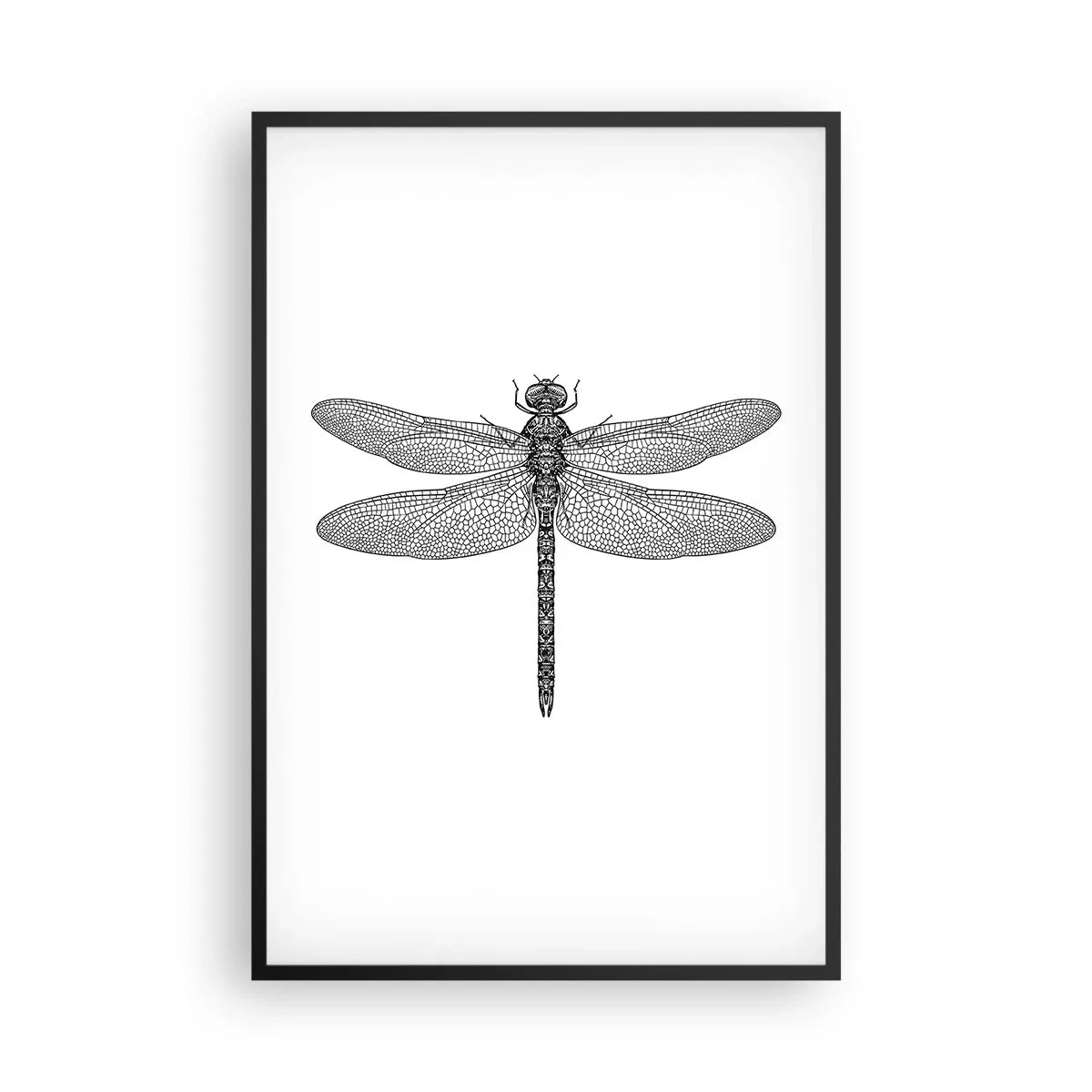 Poster in black frame - Precision of Nature - 61x91 cm