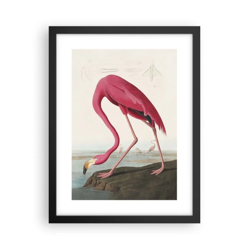 Poster in black frame - Curious Creature - 30x40 cm
